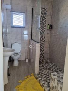 a bathroom with a shower with a toilet and a sink at Seabreeze Accommodation in L&uuml;deritz
