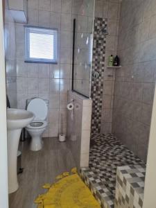 a bathroom with a shower with a toilet and a sink at Seabreeze Accommodation in Lüderitz