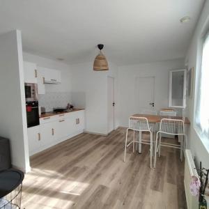 Kuchnia lub aneks kuchenny w obiekcie Spacieux studio dans résidence avec parking privé