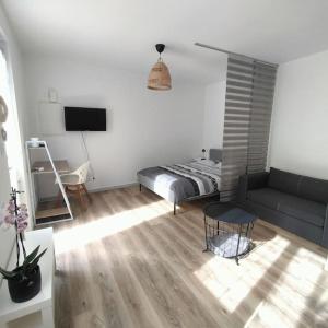 salon z łóżkiem i kanapą w obiekcie Spacieux studio dans résidence avec parking privé w mieście Clermont-Ferrand