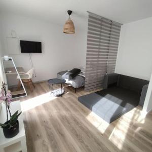 Telewizja i/lub zestaw kina domowego w obiekcie Spacieux studio dans résidence avec parking privé