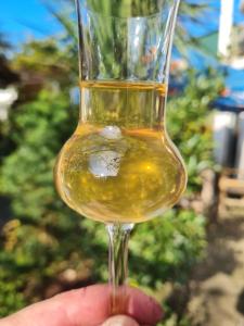 a person holding a wine glass with yellow liquid in it at Merabi Guest House in Makhinjauri