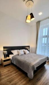 a bedroom with a large bed and a window at Modern Silver Apartment 2 rooms Bosacka Old Town in Krakow