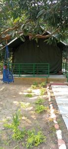 a green bench with a swing under a tree at Corbett Nature Retreat in Rāmnagar
