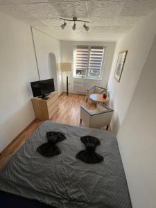 Horní VltaviceにあるMalý apartmán na Šumavěのベッドルーム1室(ベッド1台付)、リビングルームが備わります。