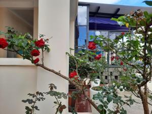Κήπος έξω από το Mây Đà Lạt Home
