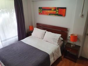 1 dormitorio con 1 cama con 2 lámparas y una ventana en Hostal del Rio, en Concepción