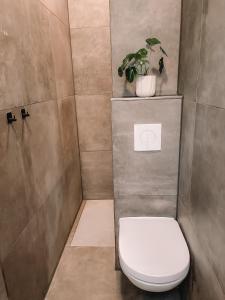 baño con aseo y maceta en Coolest Apartment in Haarlem City - close to Beach and Amsterdam, en Haarlem