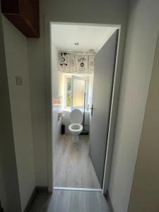 Montalieu-VercieuにあるAppartement Centrale Confortの白いバスルーム(廊下にトイレ付)