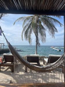 een hangmat op een strand met een palmboom bij Hotel Sunsets del Rosario in Isla Grande