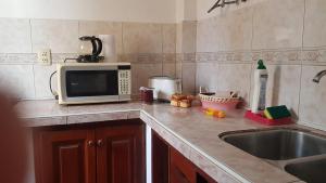 a kitchen counter with a sink and a microwave at Monoambiente Blanca in Concordia