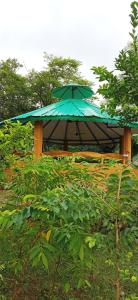Corbett Nature Retreat外面的花园