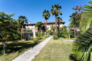 ein Garten mit Palmen und ein Haus in der Unterkunft Rovere dalla riva in Arzene