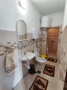 y baño con lavabo, aseo y espejo. en Apartman Ankica, en Golubac