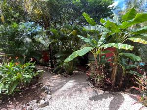 Casa Tropical Playa Grande في Cuajiniquil: حديقة بها مجموعة من النباتات والأشجار