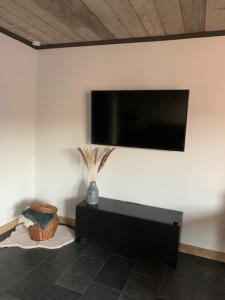 Zimmer mit einem TV an der Wand mit einer Vase in der Unterkunft Vélo 94 bij Soof in Geel