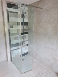 a shower with a glass door in a bathroom at Hillview House in Bellaghy