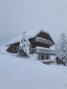 Gallery image of Haus Heidi Apartment Bergblick in Turracher Hohe