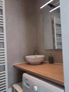 ラネステールにあるKALEE APPARTEMENT T2のバスルーム(洗面台、鏡付)