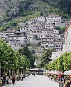 a town on a hill with a bunch of houses at Villa Oasis in Berat