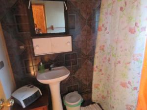 y baño con lavabo, espejo y cortina de ducha. en Hostal y Cabañas Perla del Lago, en Puerto Guadal