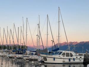 a group of boats docked in a harbor at A deux pas du lac Leman ( Ouchy) joli appartement in Lausanne