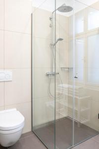 eine Glasduschkabine im Bad mit WC in der Unterkunft Modern 3 room apartment in a prime location in Wien