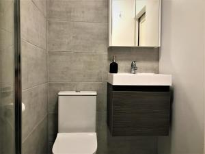 a bathroom with a toilet and a sink and a mirror at Annexe with Sea View, Private Entrance & Parking - FOLKESTONE in Folkestone