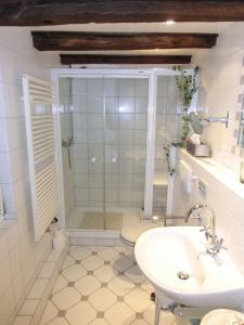 a bathroom with a shower and a sink at Haus-Hoeppches in Blankenheim