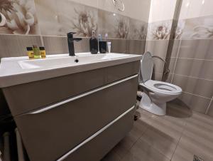 a bathroom with a sink and a toilet at Tin Apartment in Vatra Dornei
