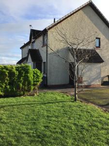 a house with a tree in front of a yard at Bobs plac in Whitehaven
