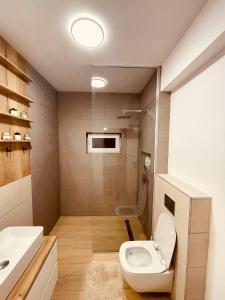 a bathroom with a toilet and a sink at A&Y APARTAMENT in Floreşti