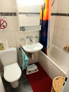 uma casa de banho com um WC, um lavatório e uma banheira em Large Apartment Bern City Centre em Berna