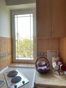Fotografie z fotogalerie ubytování Apartman Mona Zlatibor v destinaci Zlatibor