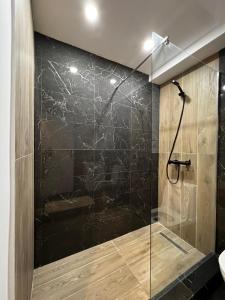 een badkamer met een douche en een glazen deur bij David’s place in Floreşti