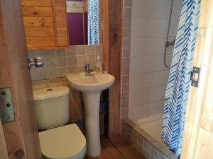 a small bathroom with a toilet and a sink at Terrazas de Laguna Verde in Laguna Verde