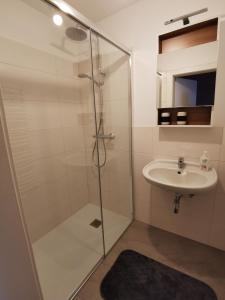 a bathroom with a shower and a sink at Ferdlhof Ferienwohnung in Ulrichsberg