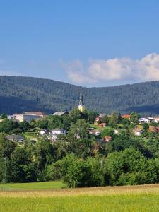 a town on a hill with a church in the distance at Ferdlhof Ferienwohnung in Ulrichsberg