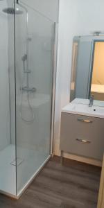 Kúpeľňa v ubytovaní Appartement des cordeliers avec parking