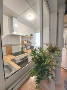 a kitchen with a sink and a stove top oven at Apartamento Sant Roc in Hospitalet de l'Infant