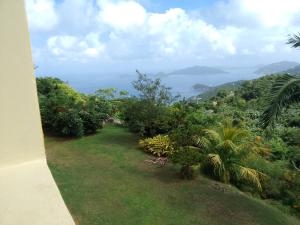 Abigail's Sunflower Entire 2 Bedroom Apt في Tortola Island: حديقة مطلة على المحيط