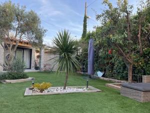 un jardín con una palmera en un patio en Suite parentale indépendante, en Marsella