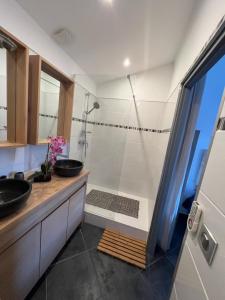 a bathroom with a shower and a sink and a tub at Suite parentale indépendante in Marseille