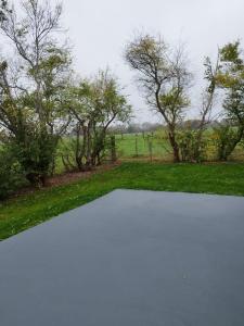 uitzicht op een oprit met bomen en gras bij Ferienhaus in Handewitt kurz vor dänischen Grenze in Handewitt