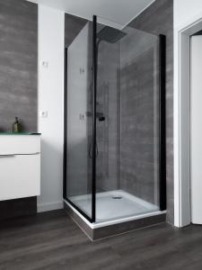 y baño con ducha y puerta de cristal. en Ferienhaus in Handewitt kurz vor dänischen Grenze, en Handewitt