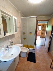 Donja Stubica的住宿－Kuća za odmor Žabina hiža，一间带水槽、淋浴和卫生间的浴室