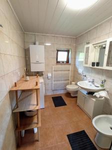 a bathroom with a sink and a toilet at Kuća za odmor Žabina hiža in Donja Stubica