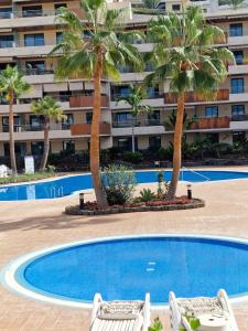 a swimming pool with two palm trees in front of a building at Large terrace with views on the cliffs at Balcon De Los Gigantes in Puerto de Santiago