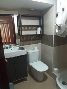 カディスにあるDuplex Cadiz Centroのバスルーム(トイレ、洗面台、鏡付)