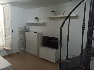 Televízia a/alebo spoločenská miestnosť v ubytovaní Duplex Cadiz Centro